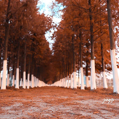 宜山又解锁一个网红打卡地，就在…… 